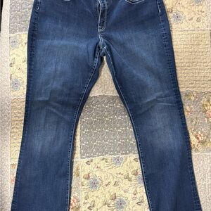 Women's Blue Jeans BKE Gabby curvy fit